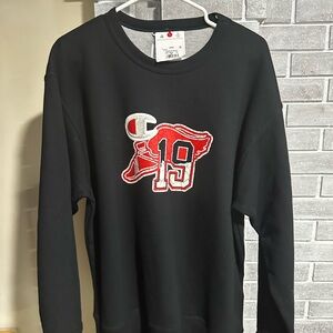 Champion, crewneck sweatshirt, size large